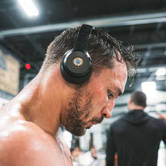 EMF Protection Chips