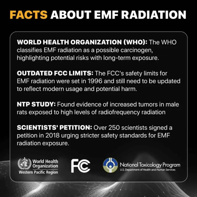 EMF Protection Chips